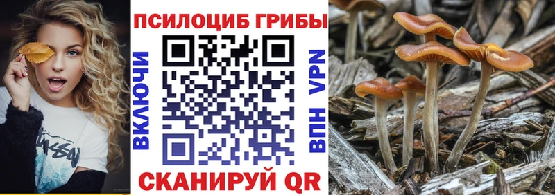 Галлюциногенные грибы прущие грибы  наркошоп  Осташков 